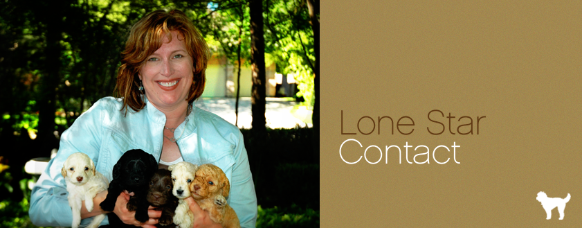 contactheader