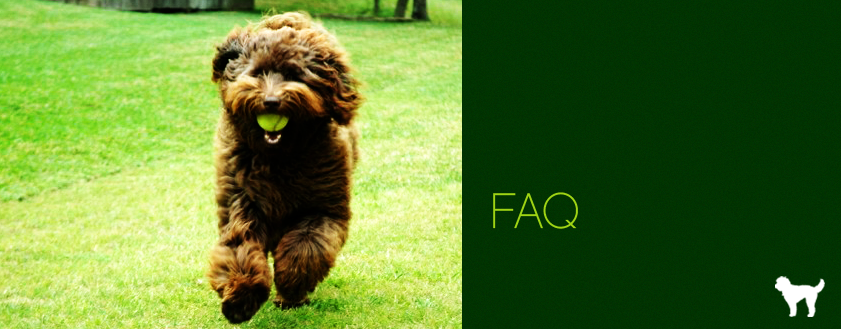 faq_header