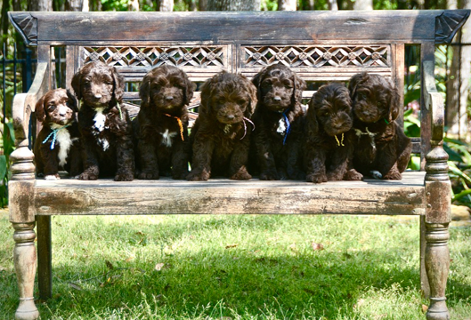 MarleyGroupShot-2